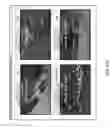 Fig. 119 - Multi-Level Competition/Game, Talent, and Award Show Productions Systems, Methods and Apparatus