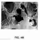 Fig. 06 - Superabsorbent polymer composite comprising a superabsorbent polymer and cellulosic nanofibrils