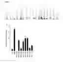 Fig. 04 - Plant development control composition