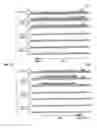 Fig. 23 - Composition and methods related to modification of 5-hydroxymethylcytosine (5-hmC)