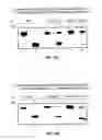 Fig. 26 - Composition and methods related to modification of 5-hydroxymethylcytosine (5-hmC)