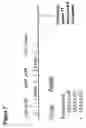 Fig. 09 - EPITOPE ANALOGS
