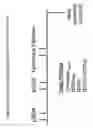 Fig. 49 - EPITOPE ANALOGS