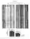 Fig. 63 - Nucleic acids encoding mosaic clade M human immunodeficiency virus type 1 (HIV-1) envelope immunogens
