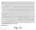 Fig. 22 - Stabilized polypeptide compositions