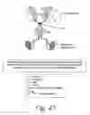 Fig. 49 - Stabilized polypeptide compositions