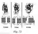 Fig. 77 - Stabilized polypeptide compositions