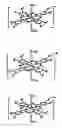 Fig. 01 - Water-soluble phthalocyanine dye