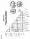 Fig. 35 - Methods of classifying cognitive states and traits and applications thereof