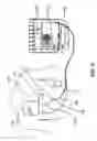 Fig. 07 - CPR feedback method and apparatus
