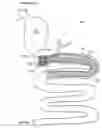 Fig. 01 - Gastrointestinal anchor compliance