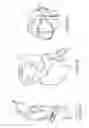 Fig. 04 - Huggable breastpump