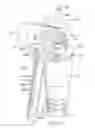 Fig. 08 - HINGED CAP FOR NEEDLE DEVICE