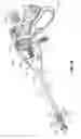 Fig. 03 - Apparatus for performing an electrosurgical procedure