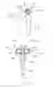 Fig. 06 - Closing openings in anatomical tissue