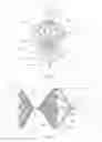 Fig. 02 - OCCLUSION DEVICE