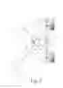 Fig. 03 - Skeletal adjustment device