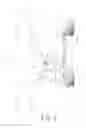 Fig. 06 - Skeletal adjustment device