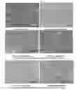 Fig. 01 - METHOD TO ENHANCE OSTEOBLAST FUNCTIONALITY AND MEASURE ELECTROCHEMICAL PROPERTIES FOR A MEDICAL IMPLANT