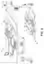 Fig. 07 - Continuous audio interaction with interruptive audio