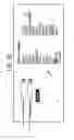 Fig. 06 - Multilingual tagging of content with conditional display of unilingual tags