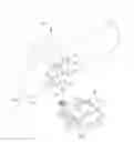 Fig. 01 - CYCLING SHOE