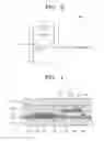 Fig. 04 - X-ray detector and X-ray image detecting method
