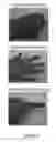 Fig. 05 - METHOD AND SYSTEM FOR DETECTING GESTURES