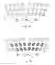 Fig. 03 - Multifunctional keyboard for a mobile communication device and method of operating the same