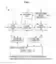 Fig. 02 - Apparatus for transmitting packet