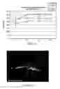 Fig. 22 - COMPOSITIONS AND METHODS FOR TISSUE REPAIR