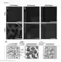 Fig. 02 - Pullulan regenerative matrix