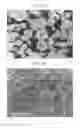 Fig. 03 - Positive active material for rechargeable lithium battery, method of preparing same, and rechargeable lithium battery including same