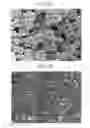 Fig. 04 - Positive active material for rechargeable lithium battery, method of preparing same, and rechargeable lithium battery including same