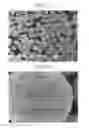 Fig. 06 - Positive active material for rechargeable lithium battery, method of preparing same, and rechargeable lithium battery including same