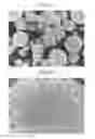 Fig. 07 - Positive active material for rechargeable lithium battery, method of preparing same, and rechargeable lithium battery including same