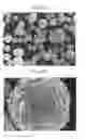 Fig. 09 - Positive active material for rechargeable lithium battery, method of preparing same, and rechargeable lithium battery including same