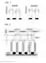 Fig. 02 - Pattern forming method, and resist composition, developer and rinsing solution used in the pattern forming method