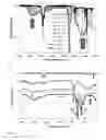 Fig. 07 - Hydrophilic nanoporous materials