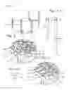 Fig. 05 - Amplification system with spatial separation