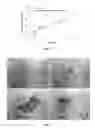Fig. 08 - THERMOPHILIC METHANOGENIC CONSORTIUM FOR CONVERSION OF CELLULOSIC BIOMASS TO BIOENERGY