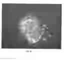 Fig. 07 - Stem cell growth media and methods of making and using same