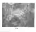 Fig. 09 - Stem cell growth media and methods of making and using same