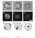Fig. 02 - Immobilization of droplets of liquid crystals on surfaces