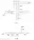 Fig. 03 - Western blot by incorporating an affinity purification zone