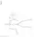 Fig. 07 - Dance game and tutorial