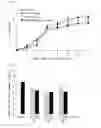 Fig. 08 - PEPTIDE CAPABLE OF BINDING TO IMMUNOGLOBULIN