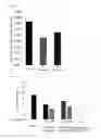 Fig. 09 - PEPTIDE CAPABLE OF BINDING TO IMMUNOGLOBULIN
