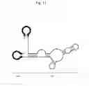 Fig. 12 - STABILIZATION METHOD OF FUNCTIONAL NUCLEIC ACID