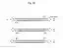 Fig. 23 - STABILIZATION METHOD OF FUNCTIONAL NUCLEIC ACID